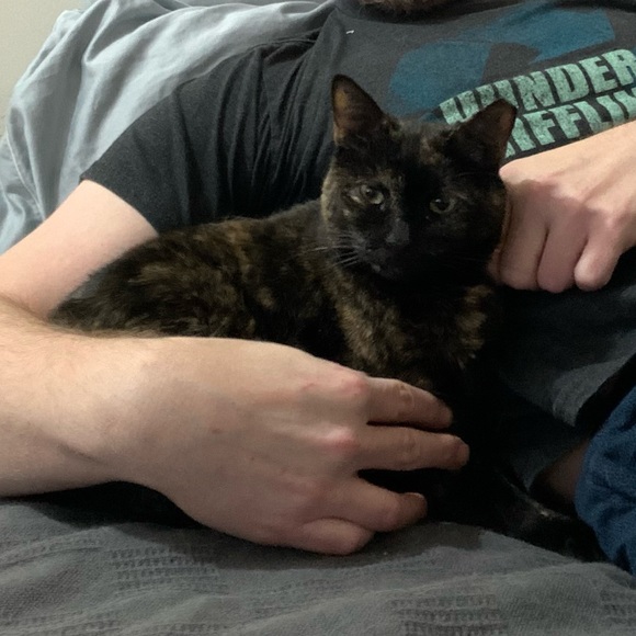 Emo - Picture 6 of 12